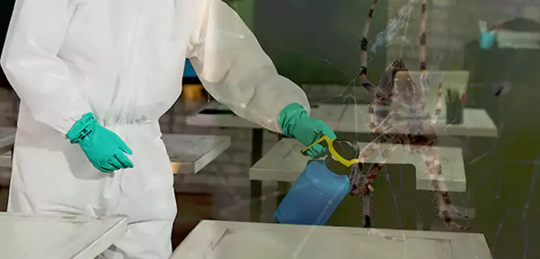 Why Buyers Still Want Homes With Pest Infestations in Montgomery, AL?